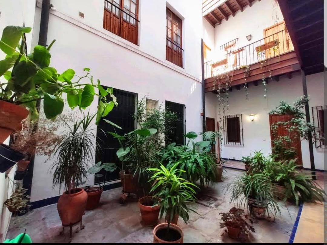 Coco Home Sevilla Urban Apartment מראה חיצוני תמונה